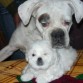 CONOCIENDO A SU HERMANITA MONCHI